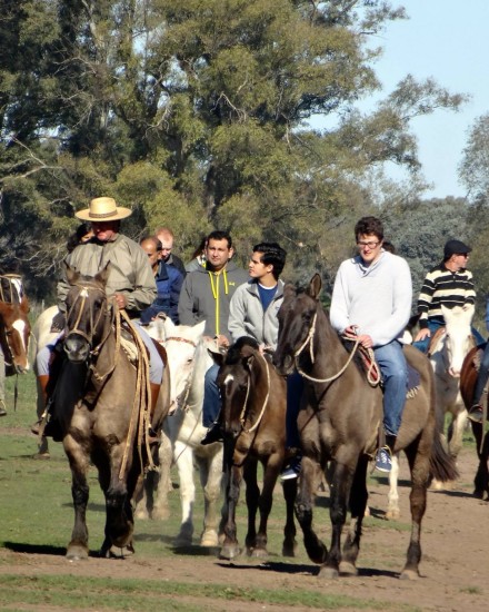 Pampas in Argentina