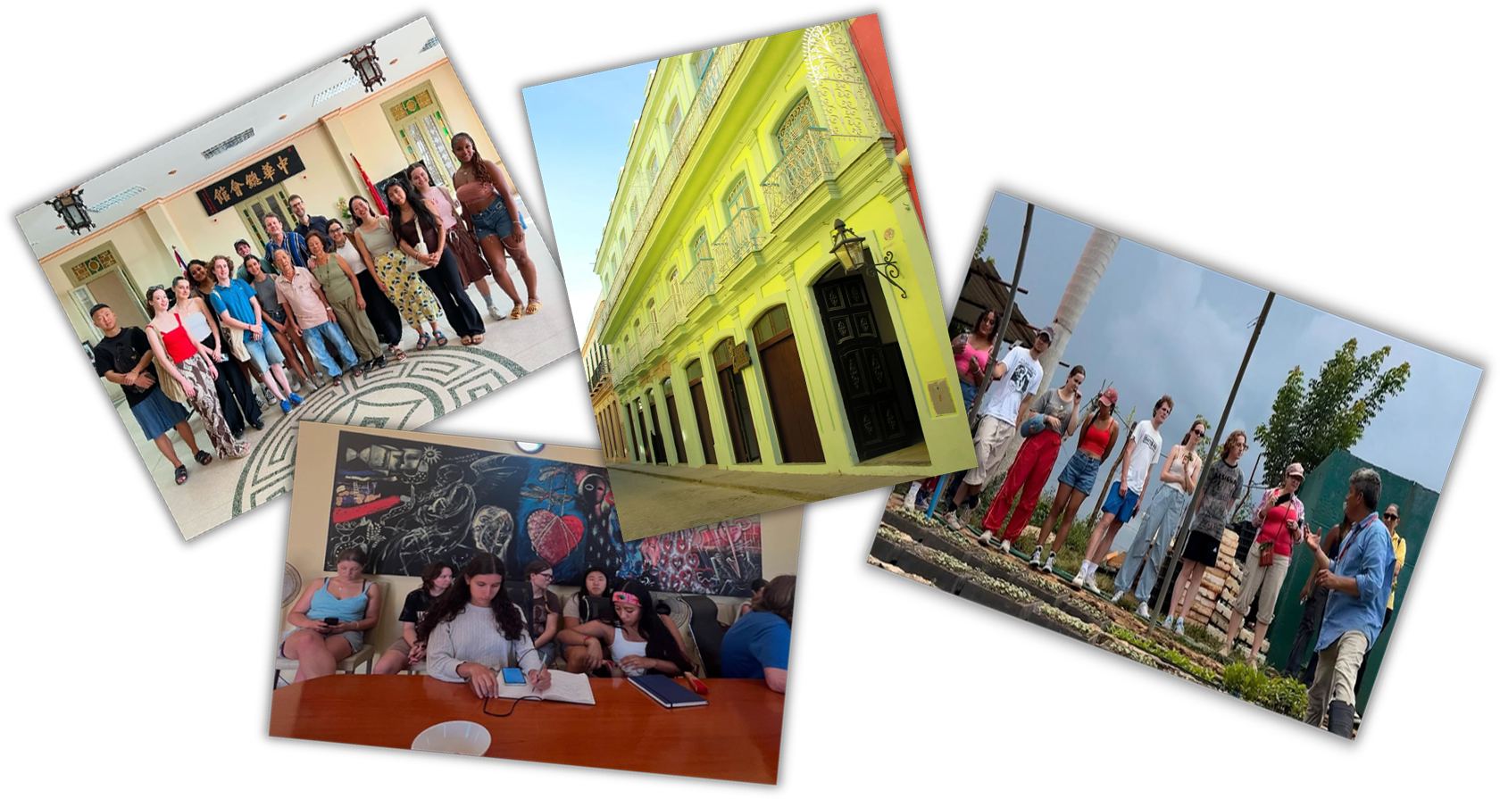 Visitas